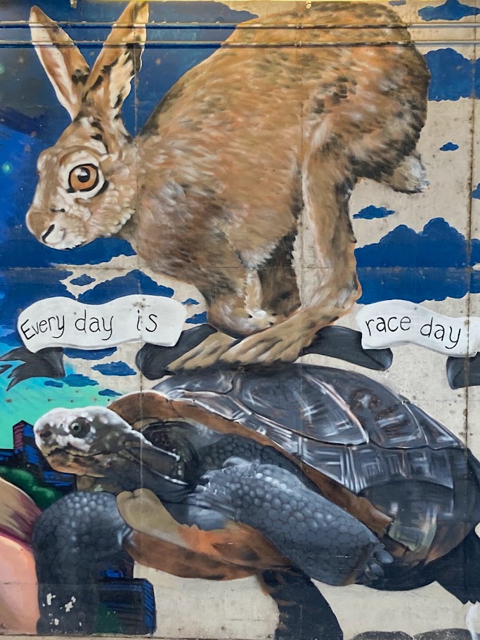Street mural of a hare standing on a tortoise's shell, captioned "Every day is race day"