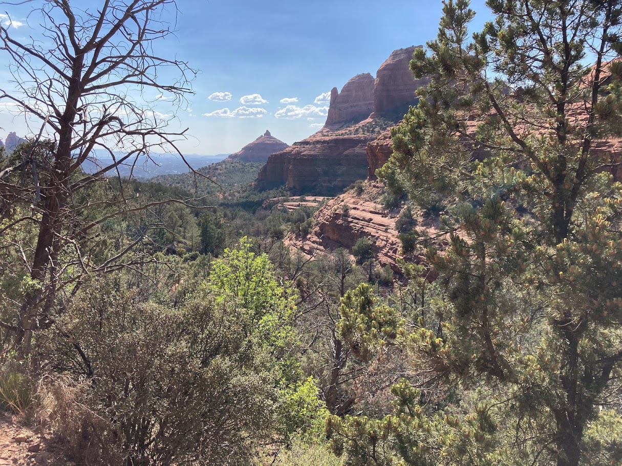 Red rock landscape in Sedona, Arizona